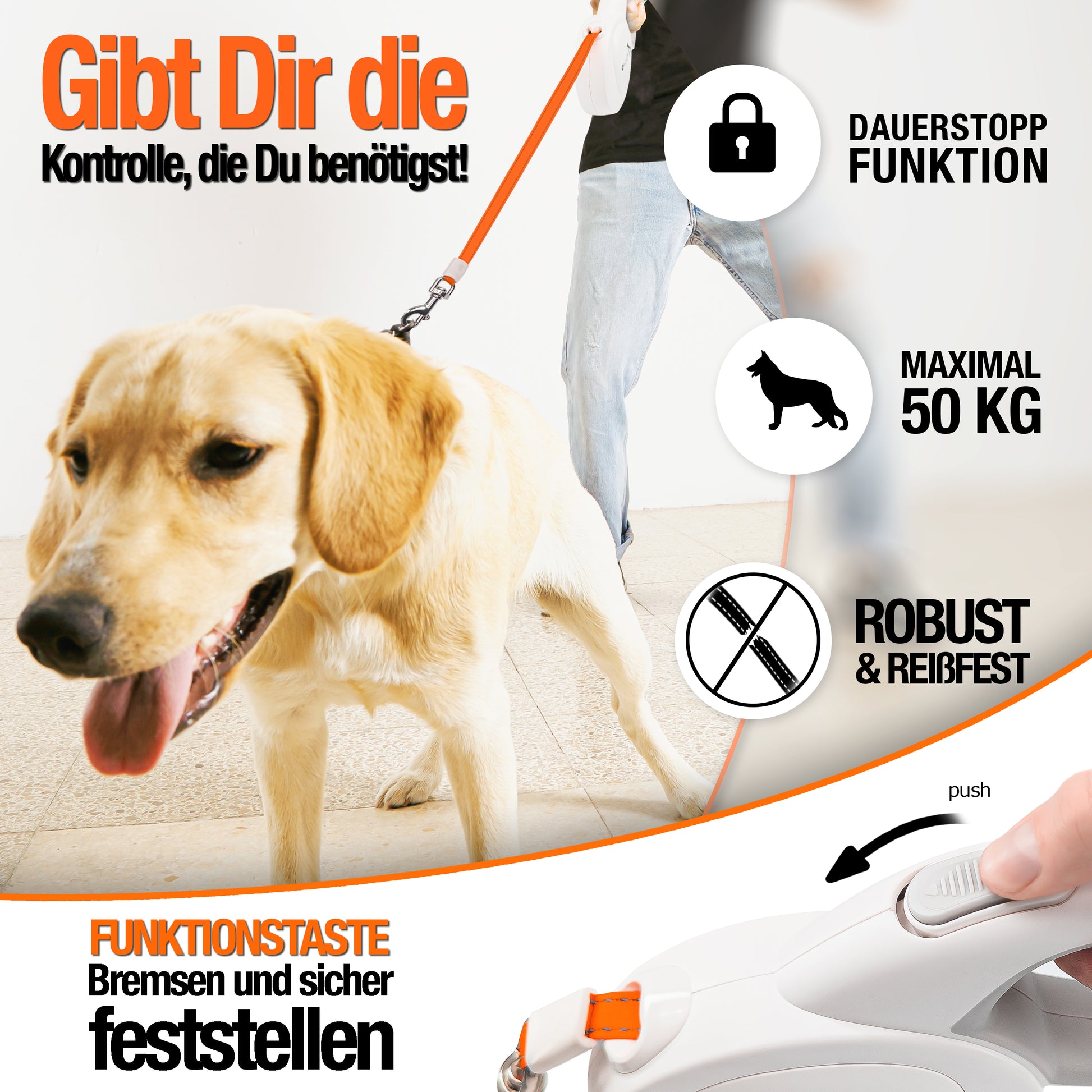 Bluzelle ShineFlex XXL Reflektor Roll-Leine – 8m Flexibilität & Sichtbarkeit