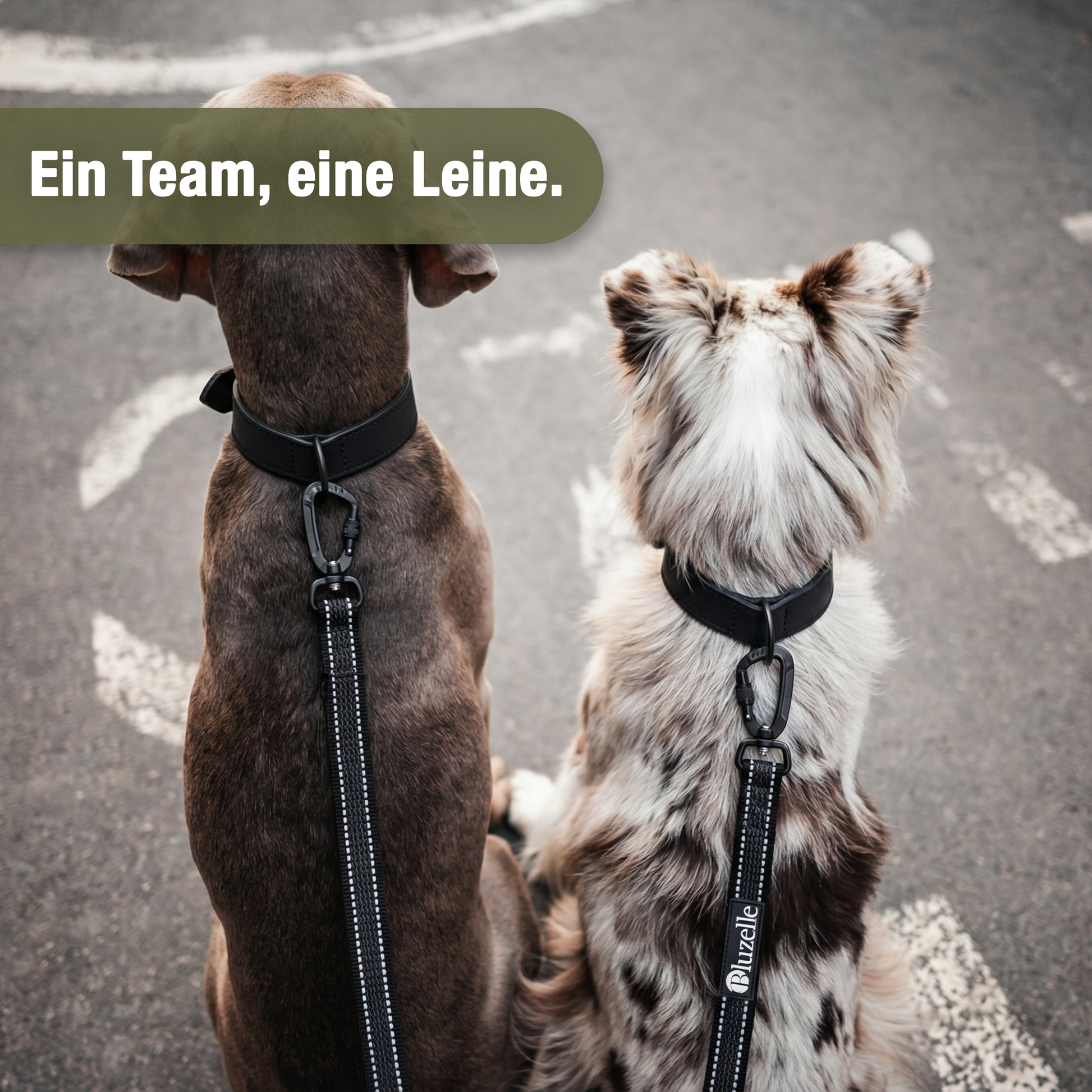 Bluzelle StrongHold Doppelleine – Vielseitig, Reflektierend & Rutschfest