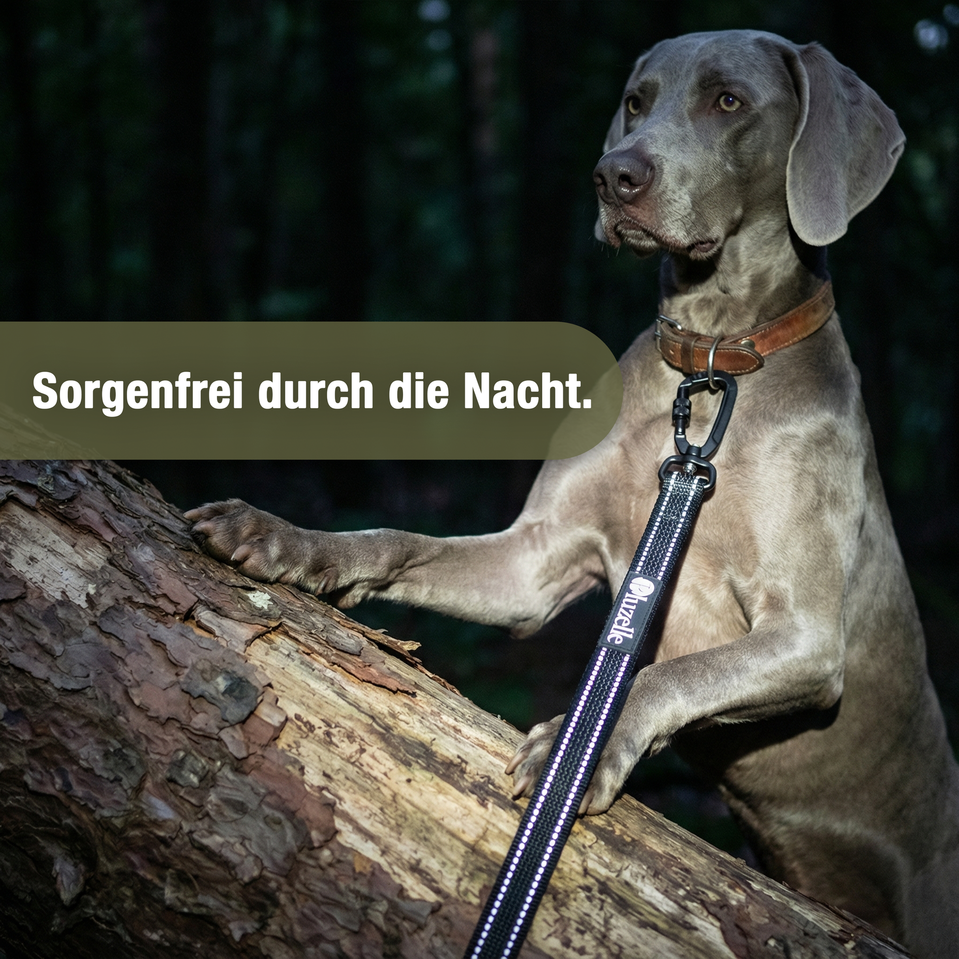 Bluzelle StrongHold Doppelleine – Vielseitig, Reflektierend & Rutschfest