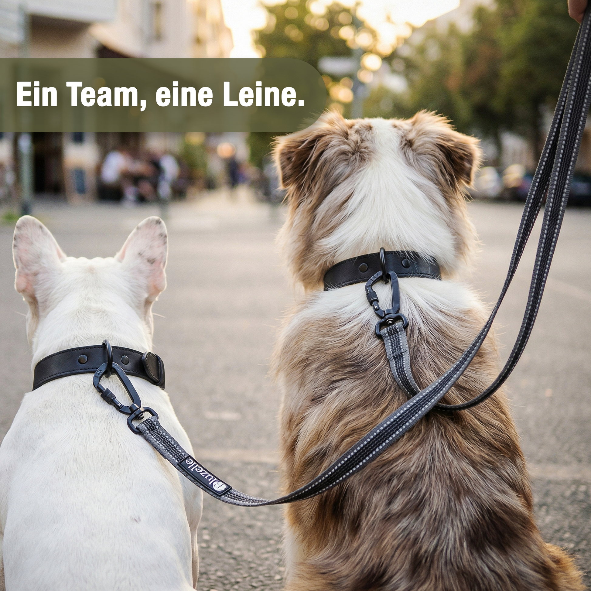Bluzelle StrongHold Doppelleine – Vielseitig, Reflektierend & Rutschfest