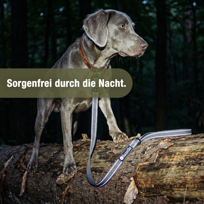 Bluzelle StrongHold Doppelleine – Vielseitig, Reflektierend & Rutschfest
