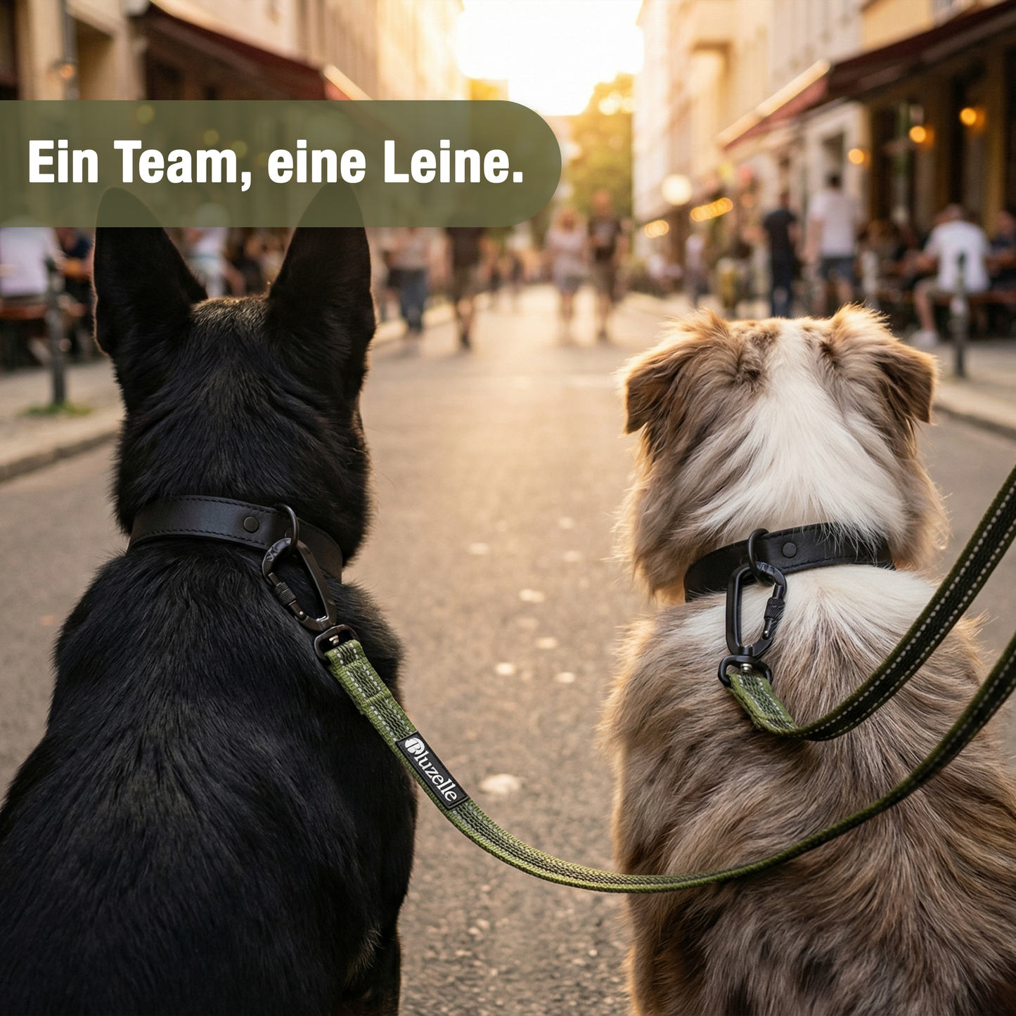 Bluzelle StrongHold Doppelleine – Vielseitig, Reflektierend & Rutschfest