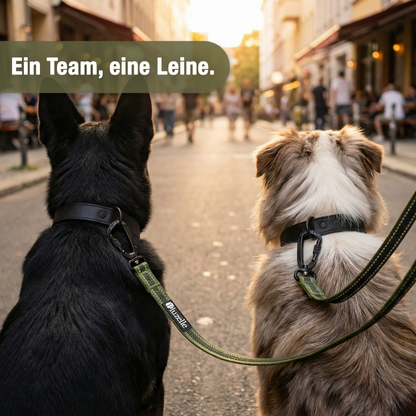 Bluzelle StrongHold Doppelleine – Vielseitig, Reflektierend & Rutschfest