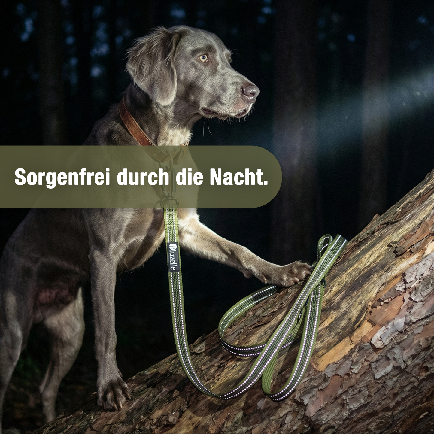 Bluzelle StrongHold Doppelleine – Vielseitig, Reflektierend & Rutschfest