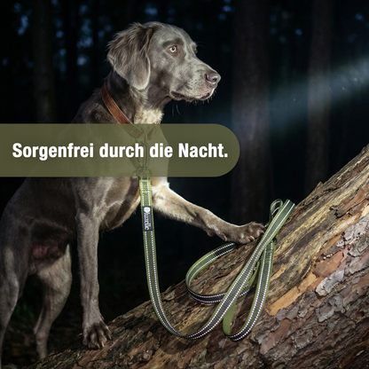 Bluzelle StrongHold Doppelleine – Vielseitig, Reflektierend & Rutschfest