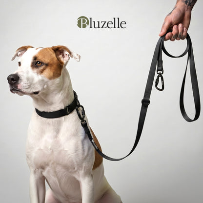 Bluzelle WeatherGuard 3m PVC-Hundeleine – Multifunktional & Wetterfest