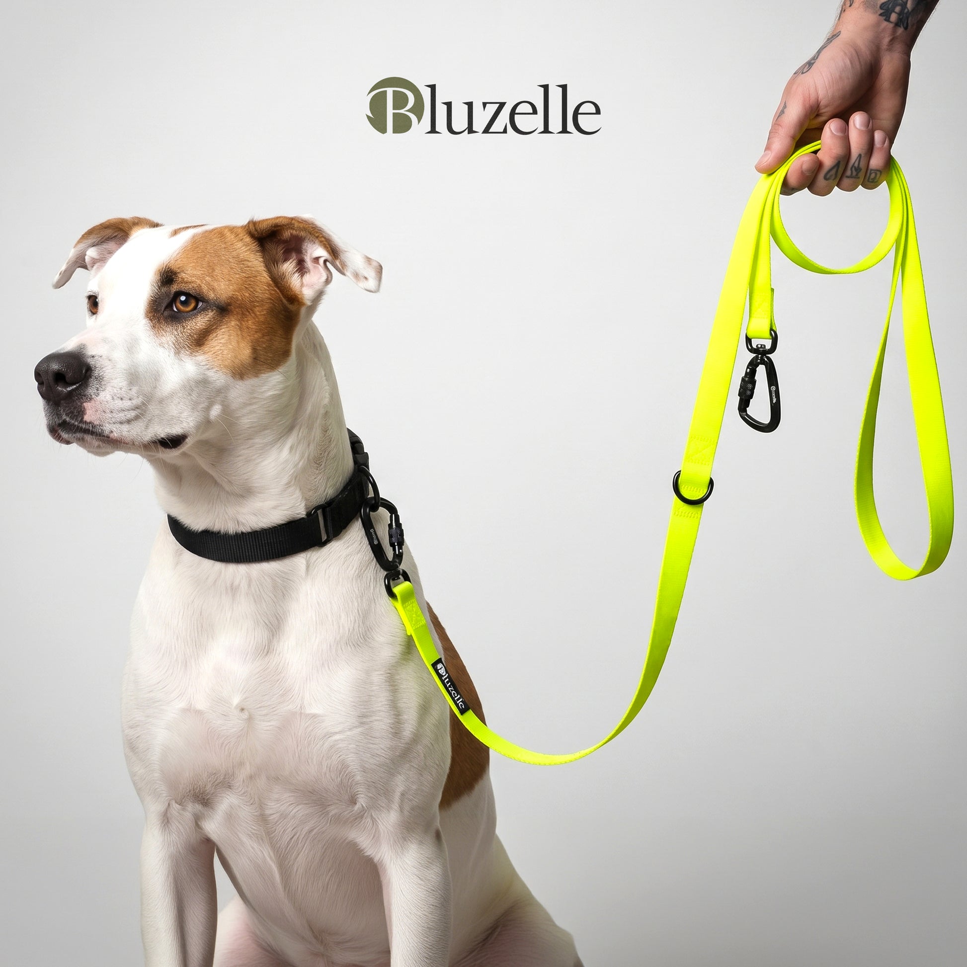 Bluzelle WeatherGuard 3m PVC-Hundeleine – Multifunktional & Wetterfest