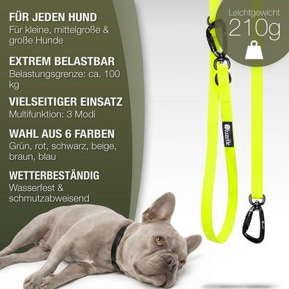 Bluzelle WeatherGuard 3m PVC-Hundeleine – Multifunktional & Wetterfest