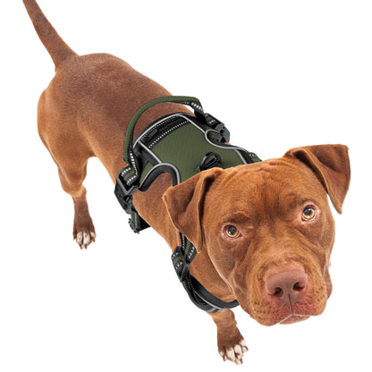 Bluzelle EasyWalk Anti-Zug Hundegeschirr – Funktional & Sicher