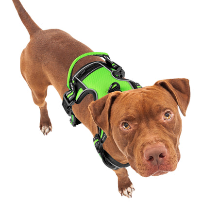 Bluzelle EasyWalk Anti-Zug Hundegeschirr – Funktional & Sicher