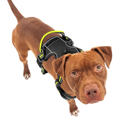 Bluzelle EasyWalk Anti-Zug Hundegeschirr – Funktional & Sicher