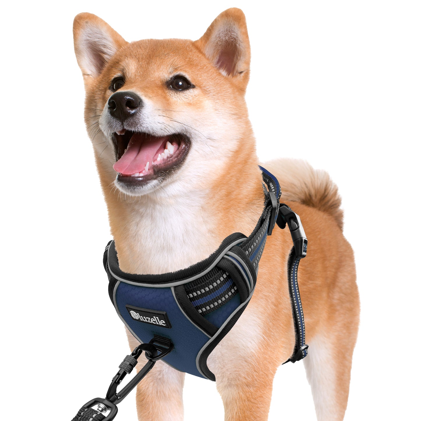 Bluzelle EasyWalk Anti-Zug Hundegeschirr – Funktional & Sicher