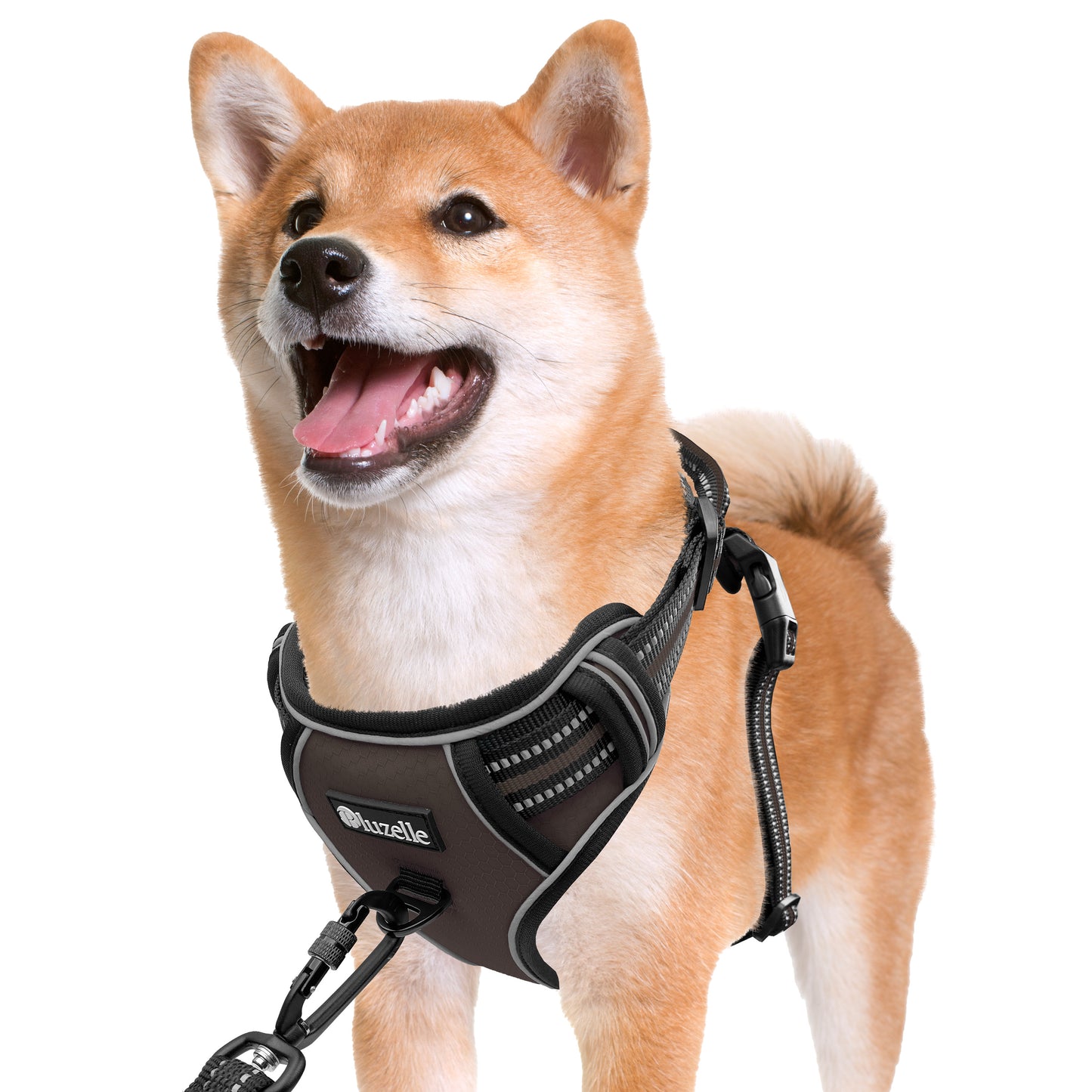 Bluzelle EasyWalk Anti-Zug Hundegeschirr – Funktional & Sicher