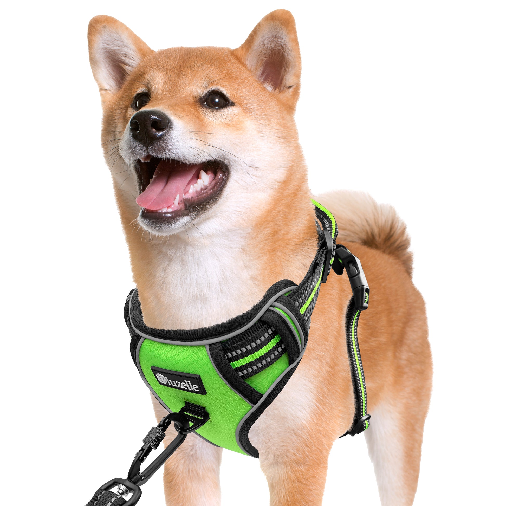 Bluzelle EasyWalk Anti-Zug Hundegeschirr – Funktional & Sicher