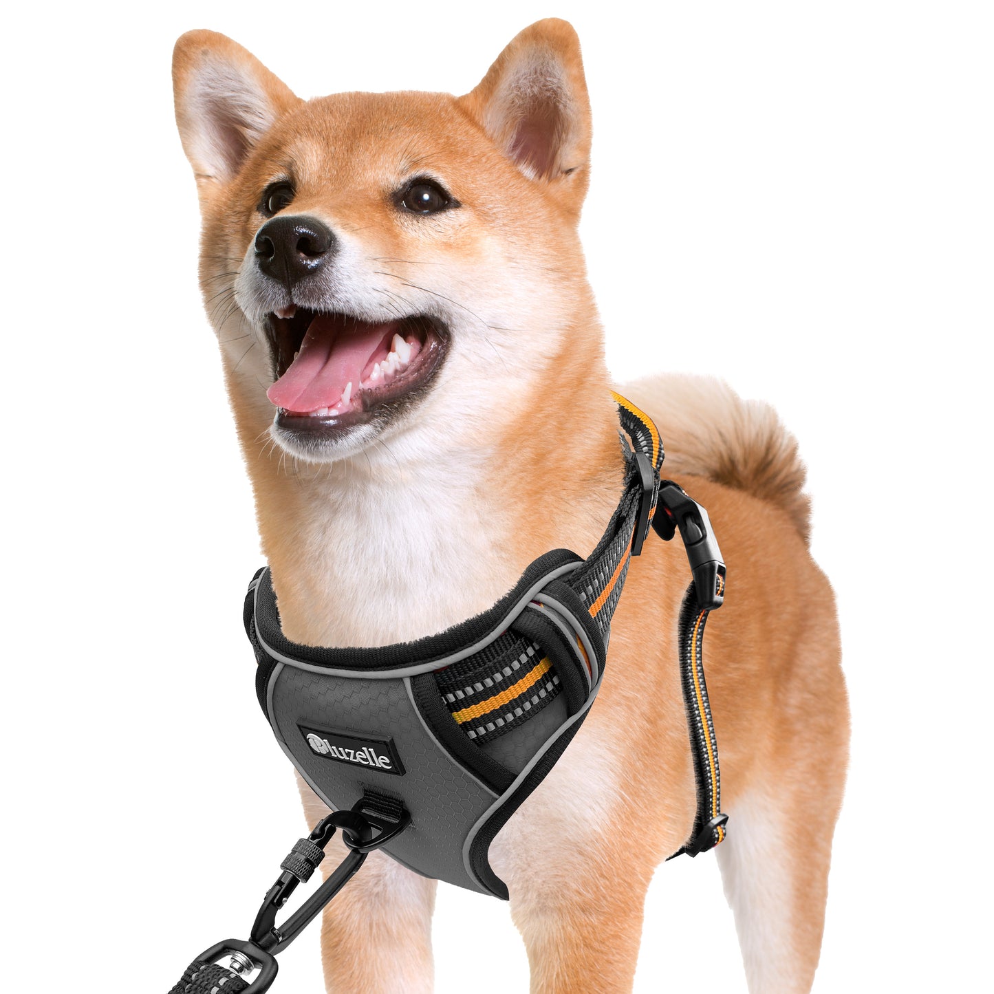 Bluzelle EasyWalk Anti-Zug Hundegeschirr – Funktional & Sicher