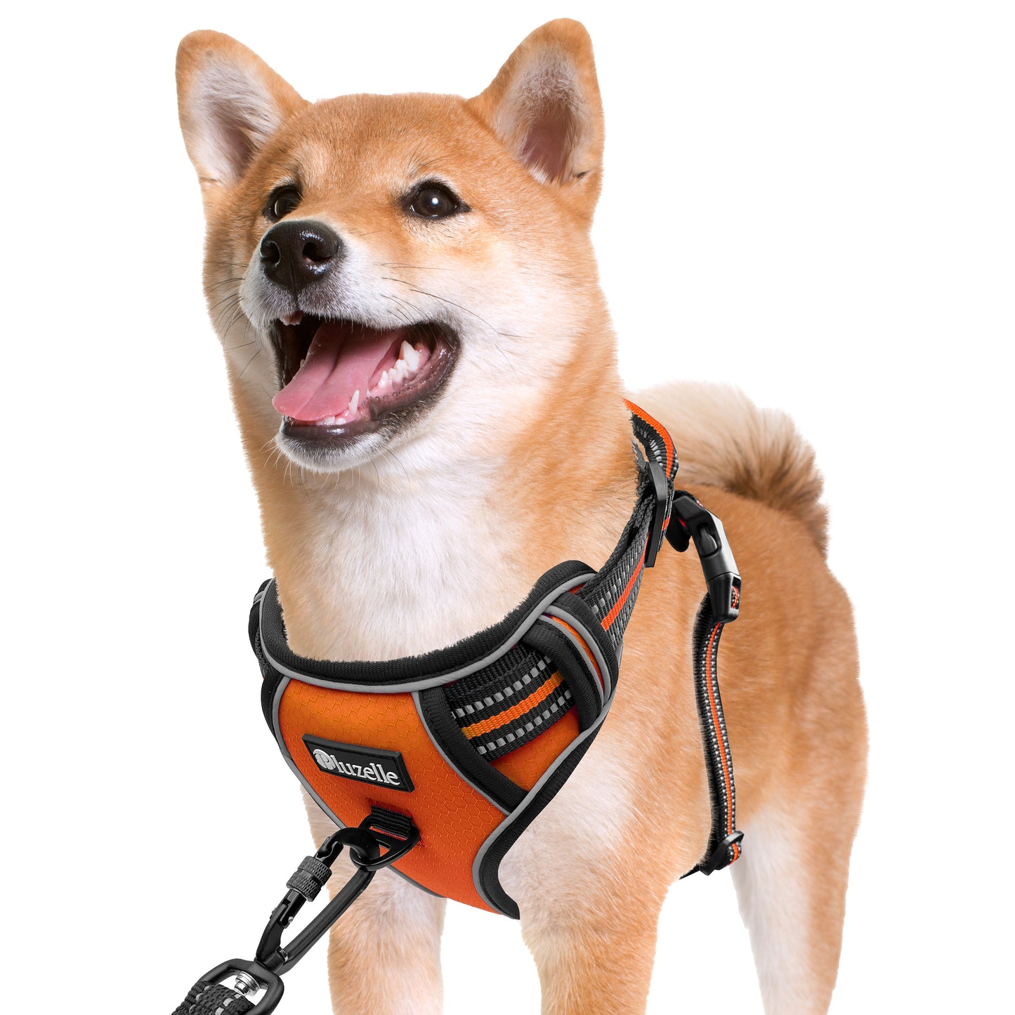 Bluzelle EasyWalk Anti-Zug Hundegeschirr – Funktional & Sicher