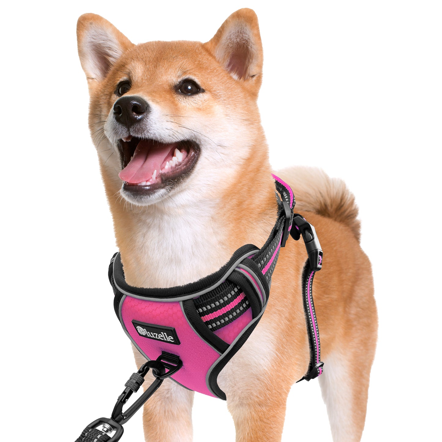 Bluzelle EasyWalk Anti-Zug Hundegeschirr – Funktional & Sicher