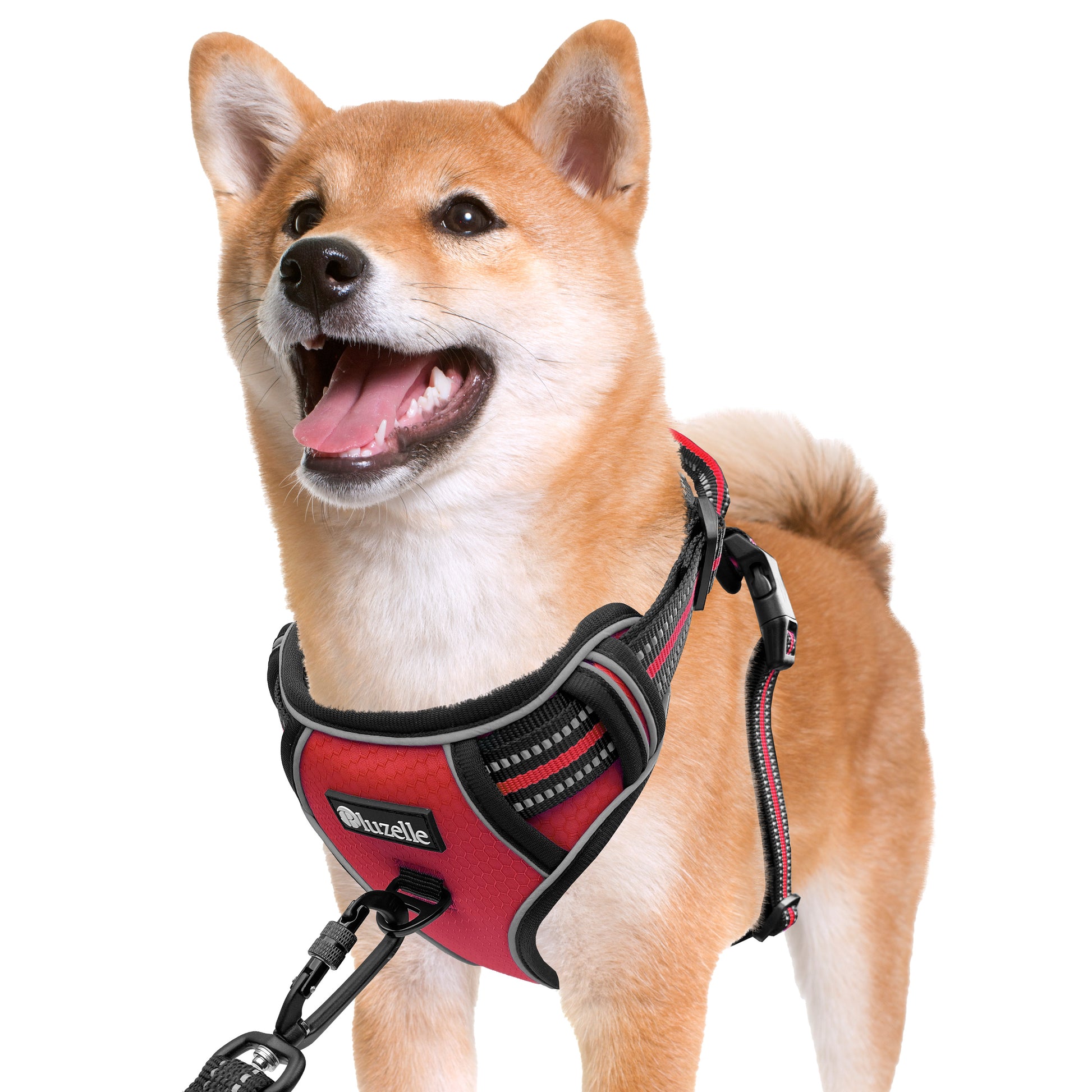 Bluzelle EasyWalk Anti-Zug Hundegeschirr – Funktional & Sicher