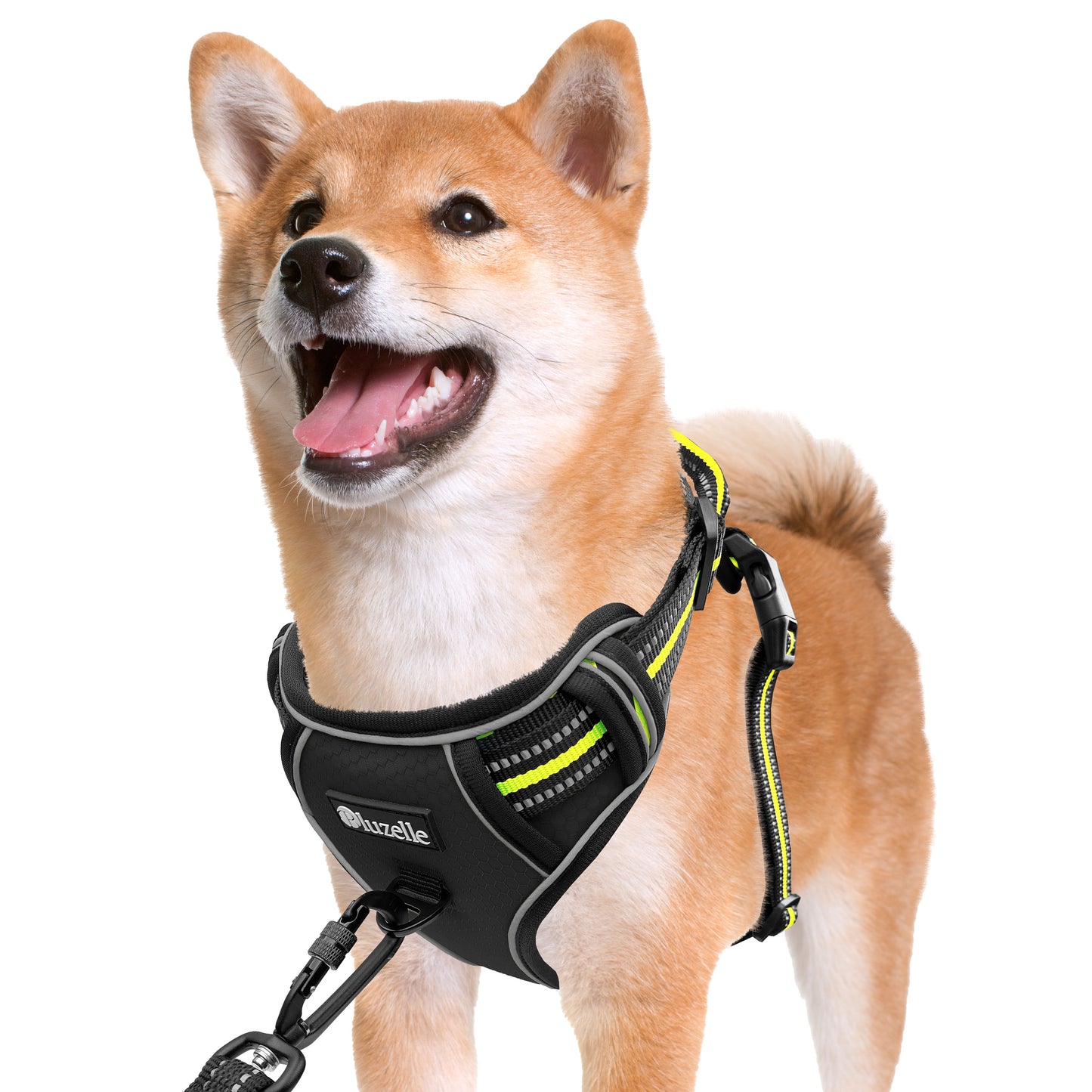 Bluzelle EasyWalk Anti-Zug Hundegeschirr – Funktional & Sicher