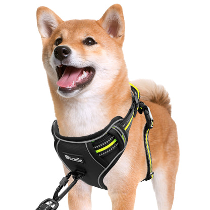 Bluzelle EasyWalk Anti-Zug Hundegeschirr – Funktional & Sicher