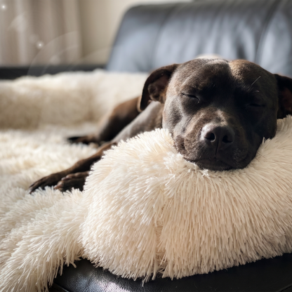 Bluzelle CouchMate Sofaauflage Hundebett – Schutz & Komfort für Zuhause und Auto