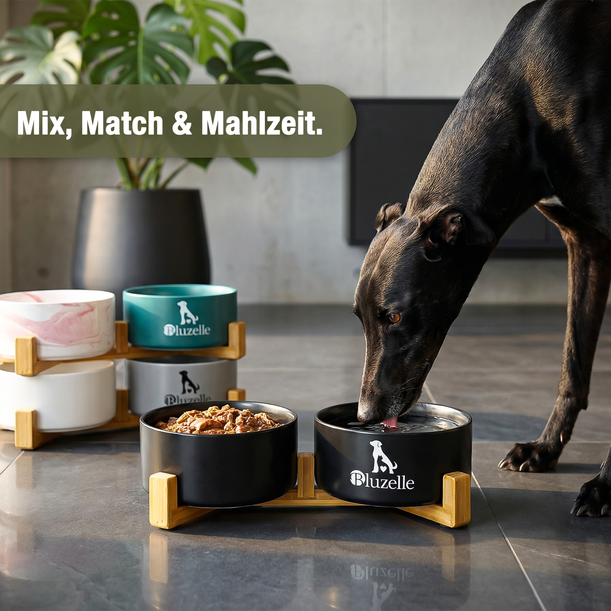 Bluzelle Balance Bowl Hundenapf 2-in-1 XXL 850ml