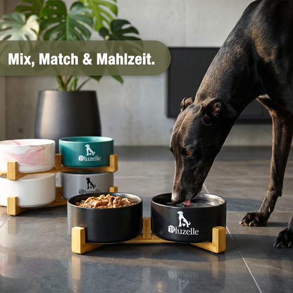 Bluzelle Balance Bowl Hundenapf 2-in-1 XXL 850ml
