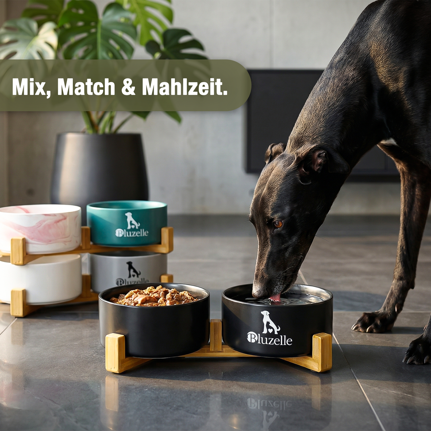 Bluzelle Balance Bowl Hundenapf 2-in-1 XXL 850ml