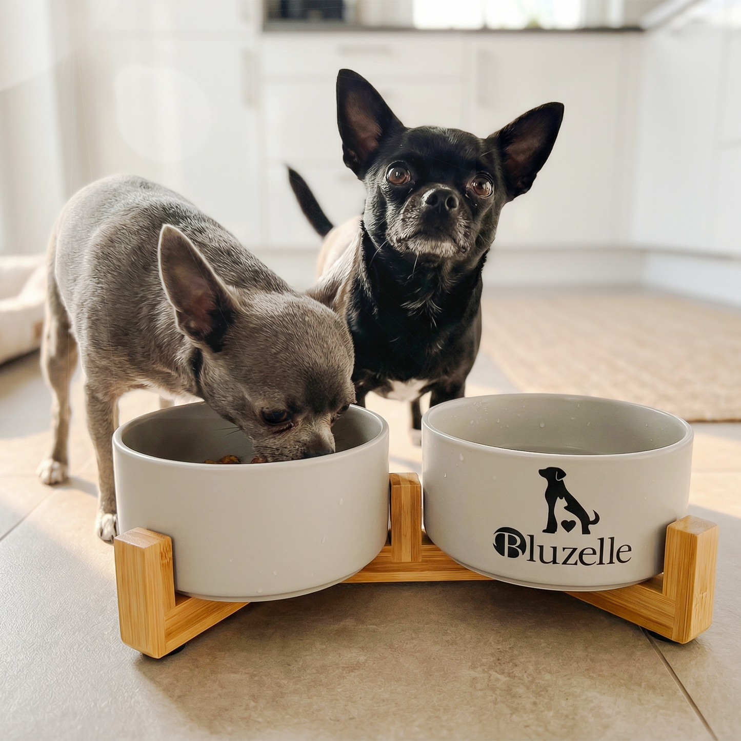 Bluzelle Balance Bowl Hundenapf 2-in-1 XXL 850ml
