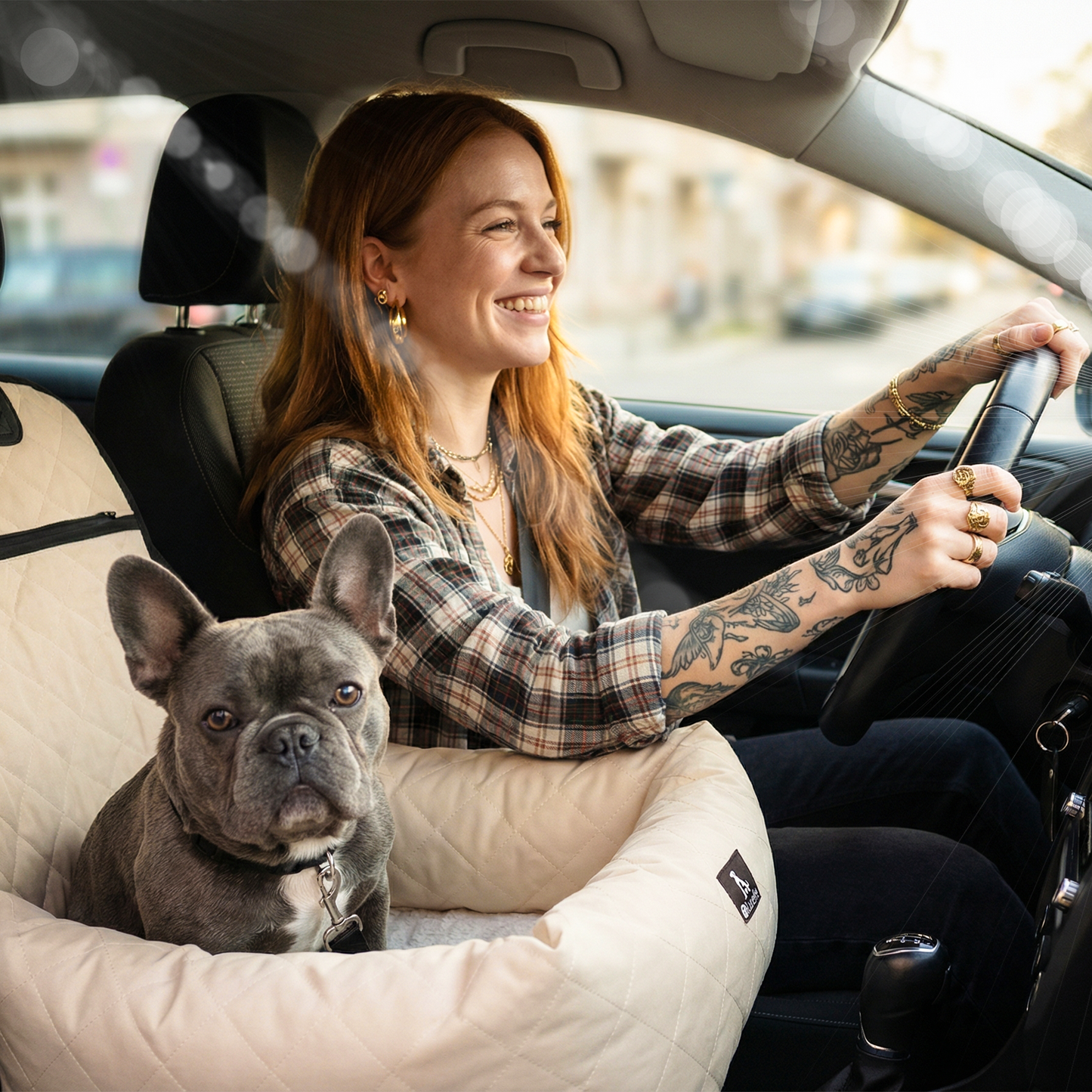 Bluzelle TravelBuddy Hunde Autositz – Sicherheit & Komfort für unterwegs