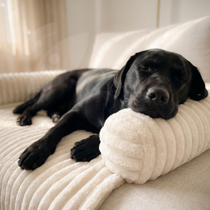 Bluzelle VelvetPaw Sofaschutz Hundebett – Wasserfeste Couchauflage in Cordoptik