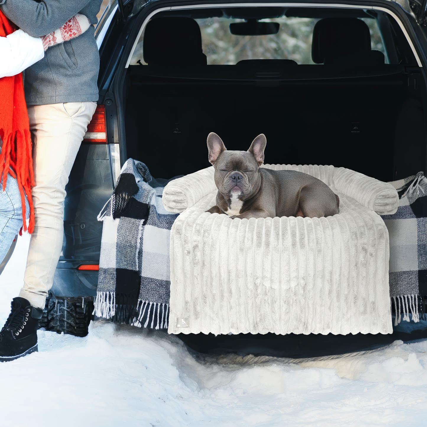 Bluzelle VelvetPaw Sofaschutz Hundebett – Wasserdichte Couchauflage in Cordoptik für kleine & mittelgroße Hunde, waschbar & rutschfest