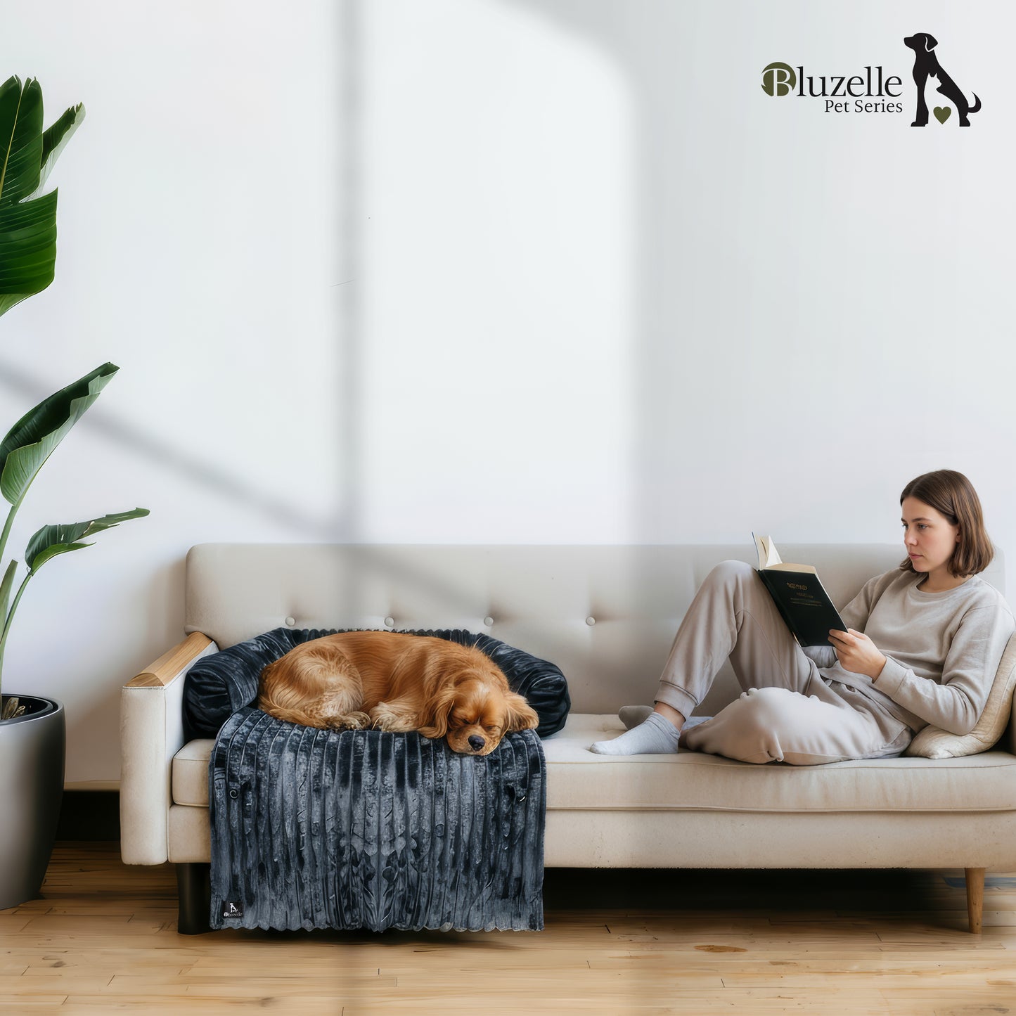 Bluzelle VelvetPaw Sofaschutz Hundebett – Wasserdichte Couchauflage in Cordoptik für kleine & mittelgroße Hunde, waschbar & rutschfest