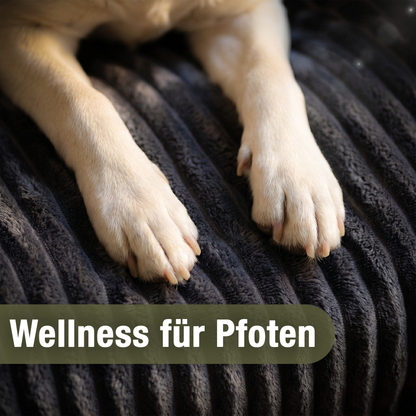 Bluzelle VelvetPaw Sofaschutz Hundebett – Wasserfeste Couchauflage in Cordoptik
