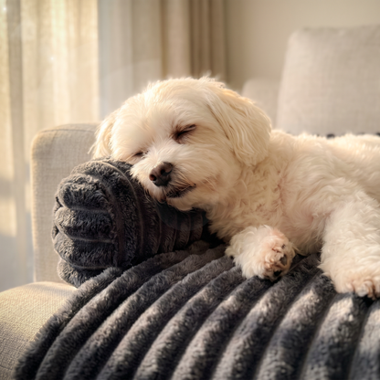 Bluzelle VelvetPaw Sofaschutz Hundebett – Wasserfeste Couchauflage in Cordoptik