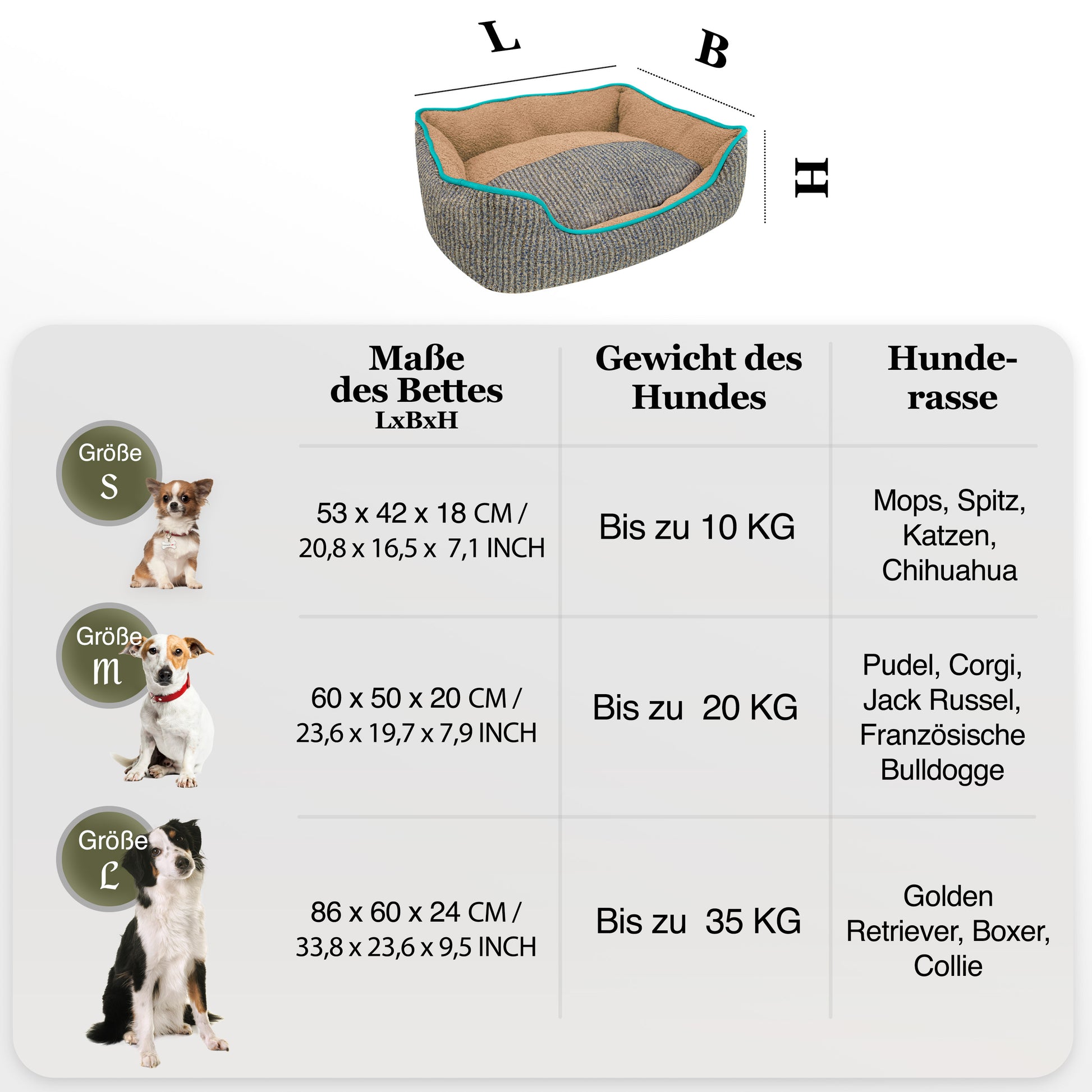 Bluzelle TeddyLounge Hundebett mit Teddyfell – Komfort & Stil für Haustiere