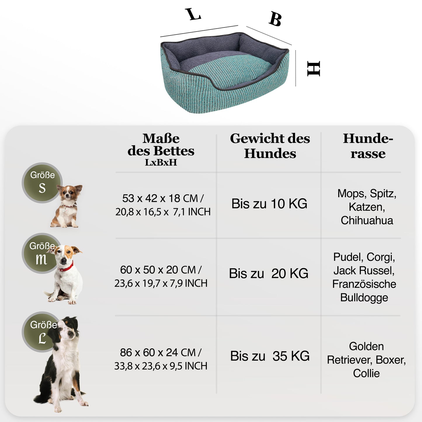 Bluzelle TeddyLounge Hundebett mit Teddyfell – Komfort & Stil für Haustiere