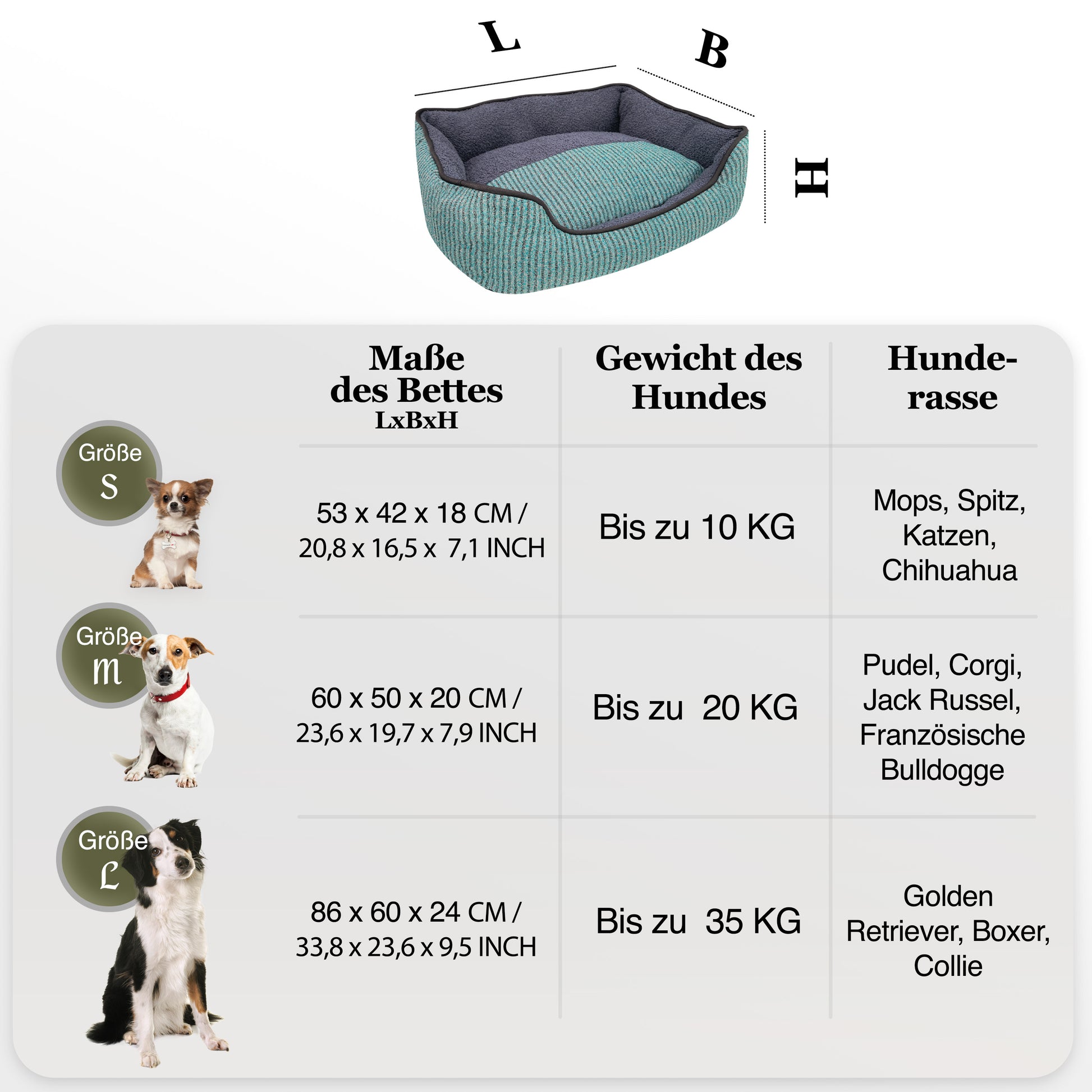 Bluzelle TeddyLounge Hundebett mit Teddyfell – Komfort & Stil für Haustiere