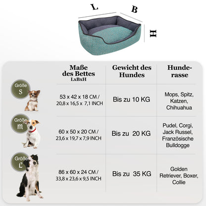 Bluzelle TeddyLounge Hundebett mit Teddyfell – Komfort & Stil für Haustiere